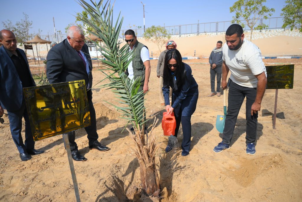 وزيرة التضامن الاجتماعي تزرع نخلة بحديقة 30 يونيو الوادى الجديد 