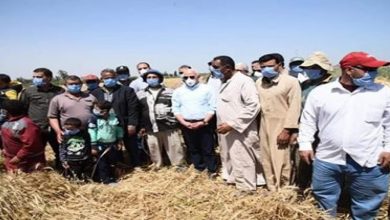 صورة محافظ بورسعيد : انتظام توريد القمح بإجمالي ٢٩٢٥ طن للصوامع والمطاحن حتي اليوم .