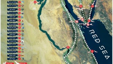 صورة مصر تشارك العالم الاحتفال باليوم العالمى للطيور المهاجرة على منصات التواصل الاجتماعى