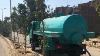 صورة وزيرة البيئة  : تعلن  الانتهاء من تشجير منطقة التبين بعدد 3000 شجرة