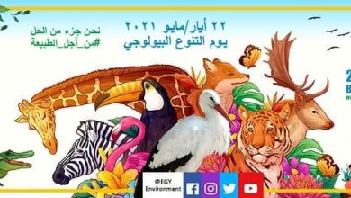 صورة مصر تشارك العالم الاحتفال باليوم العالمى للتنوع البيولوجى على منصات التواصل الاجتماعى  د.ياسمين فؤاد : العودة للتناغم مع الطبيعة هى الفرصة الحقيقية لحماية الانسان وكوكب الأرض  وزيرة البيئة تستعرض جهود الوزارة فى حماية التنوع البيولوجى