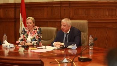 صورة وزيرة البيئة تستعرض ما تم إنجازه دوليا خلال  لقاءها بلجنة العلاقات الخارجية بمجلس النواب