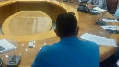 صورة د. ياسمين فؤاد : نسعى للعمل بنظم تكنولوجيا صديقة للبيئة لمدابغ الروبيكي