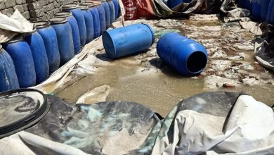 صورة الصحة: ضبط وإعدام 5179 طن أغذية متنوعة ولحوم فاسدة