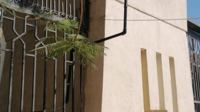 صورة وزيرة البيئة تعلن الانتهاء من تركيب  أول محطة رصد لحظية  لمستويات الضوضاء بالفيوم