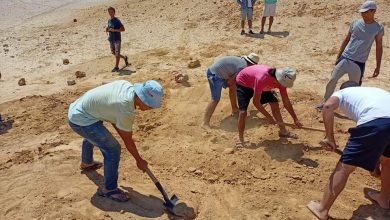 صورة البيئة تنظم تدريب لإعداد كوادر شابة في مجال اكتشاف وصيانة الحفريات للعام الثالث على التوالى