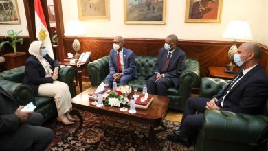 صورة وزيرة الصحة تستقبل نظيرها الجيبوتي لإنشاء أول مستشفى مصري متخصص في الأطفال والنساء