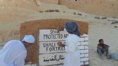 صورة وزيرة البيئة: الإعداد لتطوير منطقة الجارة بسيوه وتحويلها إلى مقصد جديد للسياحة البيئية