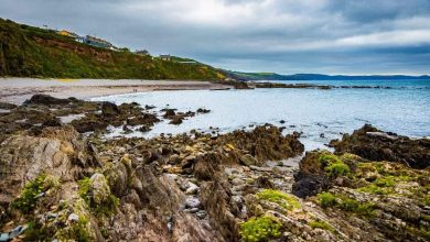 صورة غارنييه وناشيونال جيوجرافيك يتعاونان لرفع الوعي حول المتغيرات البيئية اليومية