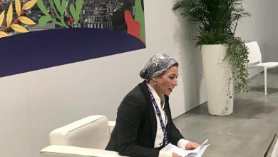 صورة وزيرة البيئة تترأس الملتقى الخاص بتحالف عمل التكيف (AAC) على هامش اجتماعات المشاورات التمهيدية لمؤتمر التغير المناخي