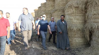 صورة رئيس جهاز شئون البيئة يتفقد منظومة مكافحة نوبات تلوث الهواء الحادة ولجان محاور المكافحة بمحافظتى الشرقية والدقهلية