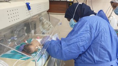 صورة الصحة: فحص17ألفًا و 722 طفلاً ضمن مبادرة الكشف المبكر عن الأمراض الوراثية لحديثي الولادة