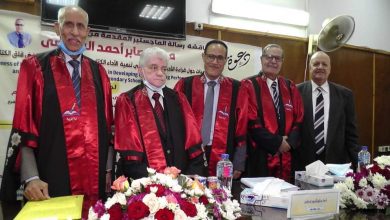 صورة رسالة ماجستير عن استراتيجية كتابة اليوميات وقراءة الأدب  بجامعة طنطا