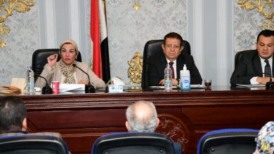 صورة وزيرة البيئة تستعرض ملف المناخ بلجنة الشؤون العربية بالبرلمان 