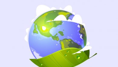 صورة البيئة تحتفل بيوم البيئة الوطنى على منصات التواصل الاجتماعي