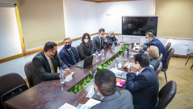 صورة ورشة عمل بين مصر والسويد لتبادل الخبرات بالمجال الصحى