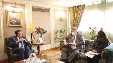 صورة وزير التعليم العالي يبحث آليات التعاون مع مدير منظمة العمل الدولية