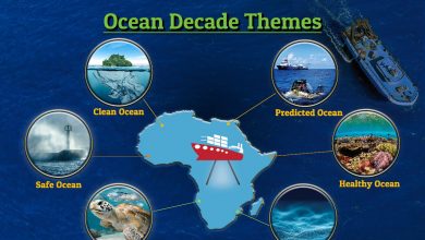 صورة مصر تستضيف المؤتمر الإفريقي لتحديد الأولويات وتطوير الشراكة لعقد الأمم المتحدة لعلوم المحيطات من أجل التنمية المُستدامة