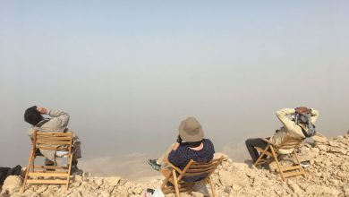 صورة اشادة عالمية بدور الحكومة المصرية و المجتمع المدني بموقع الجلالة 