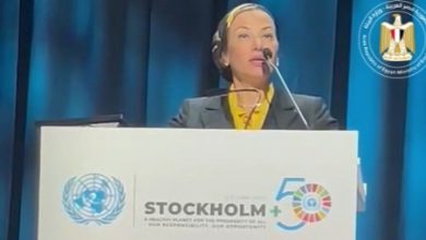 صورة وزيرة البيئة تلقى كلمة مصر في مؤتمر ستوكهولم بالسويد