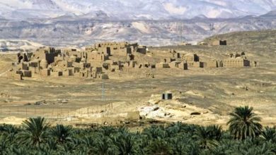 صورة فوز مدينة الخارجة بلقب عاصمة البيئة العربية 