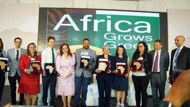 صورة وزيرة البيئة تسلم جوائز مبادرة Africa Grows Green لمعالجة تغير المناخ