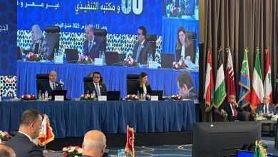 صورة إعلان الموافقة على تأسيس الوكالة العربية للدواء «وعد»