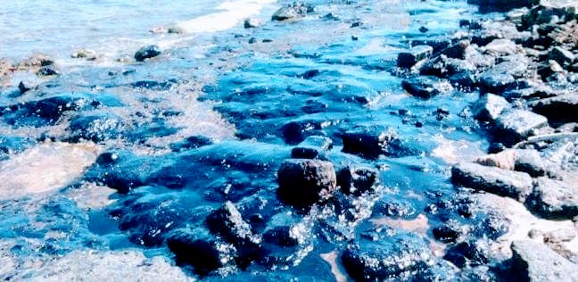 تلوث زيتى فى  شاطئ السوايسة