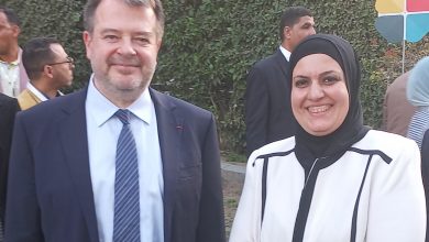 صورة ماذا قال مدير معهد فرنسا للتعليم على خطة” ترفل “فى المرحلة الابتدائية