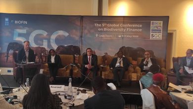 صورة ختام المؤتمر الدولي لتمويل ودعم الاستثمار بالتنوع البيولوجي بجنوب أفريقيا
