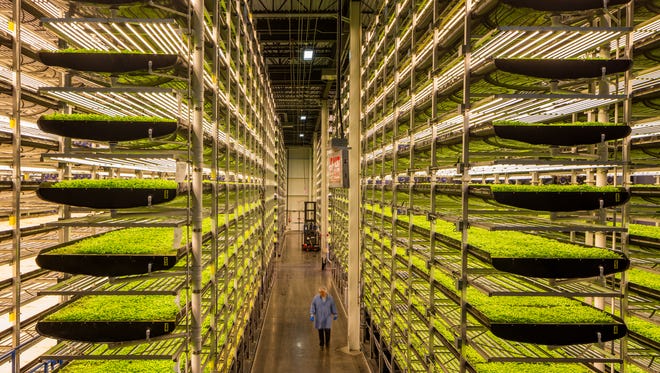 Poised to Become the Leading Vertical Farming Show in the Middle East