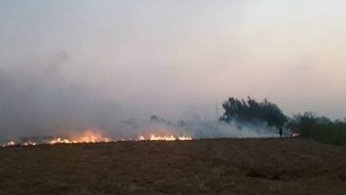 صورة مواطن من البحيرة يستغيث : احنا بنموت من السحابة السوداء