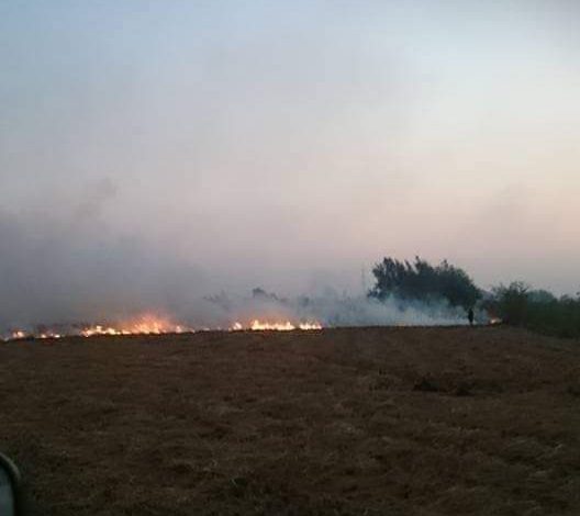 صورة ارشيفية لحرق قش الأرز