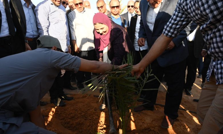 وزيرة التضامن فى زيارة لمحافظة الوادى الجديد