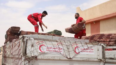 صورة الهلال الأحمر المصري يدفع بقافلة إغاثية في الوادي الجديد