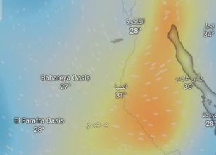 صورة “البيئة” تحذر من الرياح المحملة بالأتربة يومي الثلاثاء والأربعاء