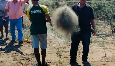 صورة إزالة كميات كبيرة من شباك صيد “الطيور المهاجرة” بشمال محمية البرلس