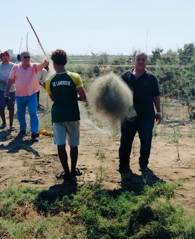 إزالة كميات كبيرة من شباك صيد "الطيور المهاجرة" بشمال محمية البرلس