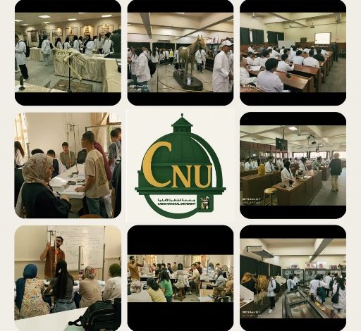 انتظام الطلاب والدراسة فى جامعة القاهرة الأهلية