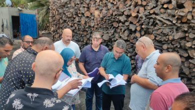 صورة حملة تفتيشية على “مكامير الفحم” بدمياط