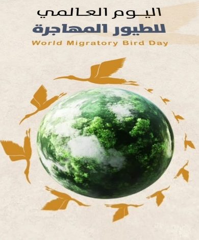 اليوم العالمي للطيور المهاجرة