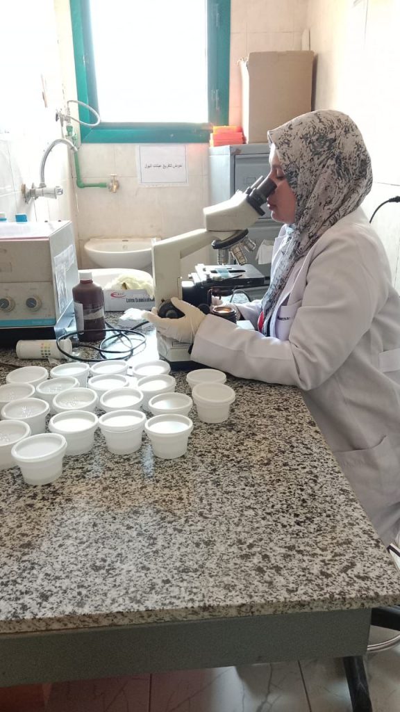 د.هالة عبد السلام ووكيل وزارة التعليم بالجيزة يتفقدان مدارس إدارة الدقي 