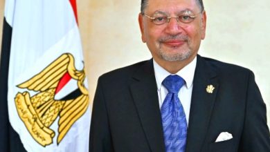 صورة “السركي” نائبًا لرئيس جامعة القاهرة لشئون خدمة المجتمع وتنمية البيئة