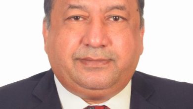 صورة “المتحف المصري الكبير”.. انطلاقة نحو العالمية