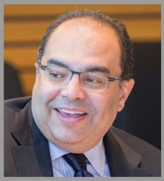 الدكتور محمود محيى الدين