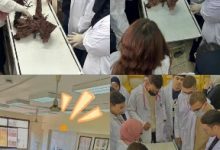 صورة جامعة القاهرة الأهلية تعزّز التدريب العملي لطلاب العلاج الطبيعي