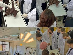 صورة جامعة القاهرة الأهلية تعزّز التدريب العملي لطلاب العلاج الطبيعي