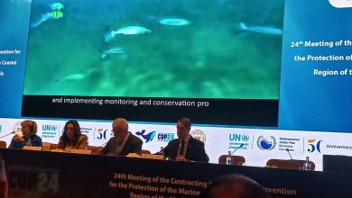 صورة انطلاق فاعليات مؤتمر (COP24)لحماية البحر المتوسط