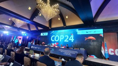 صورة القائم بأعمال وزيرة البيئة تفتتح فاعليات مؤتمر (cop 24)