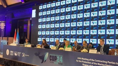 صورة استمرار جلسات “COP24” لليوم الثانى لحماية الأنظمة البيئية الساحلية